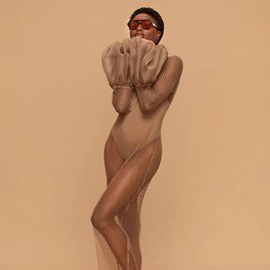 Fe Noel Lola Netted Dress (Nude). Brand New with tags.